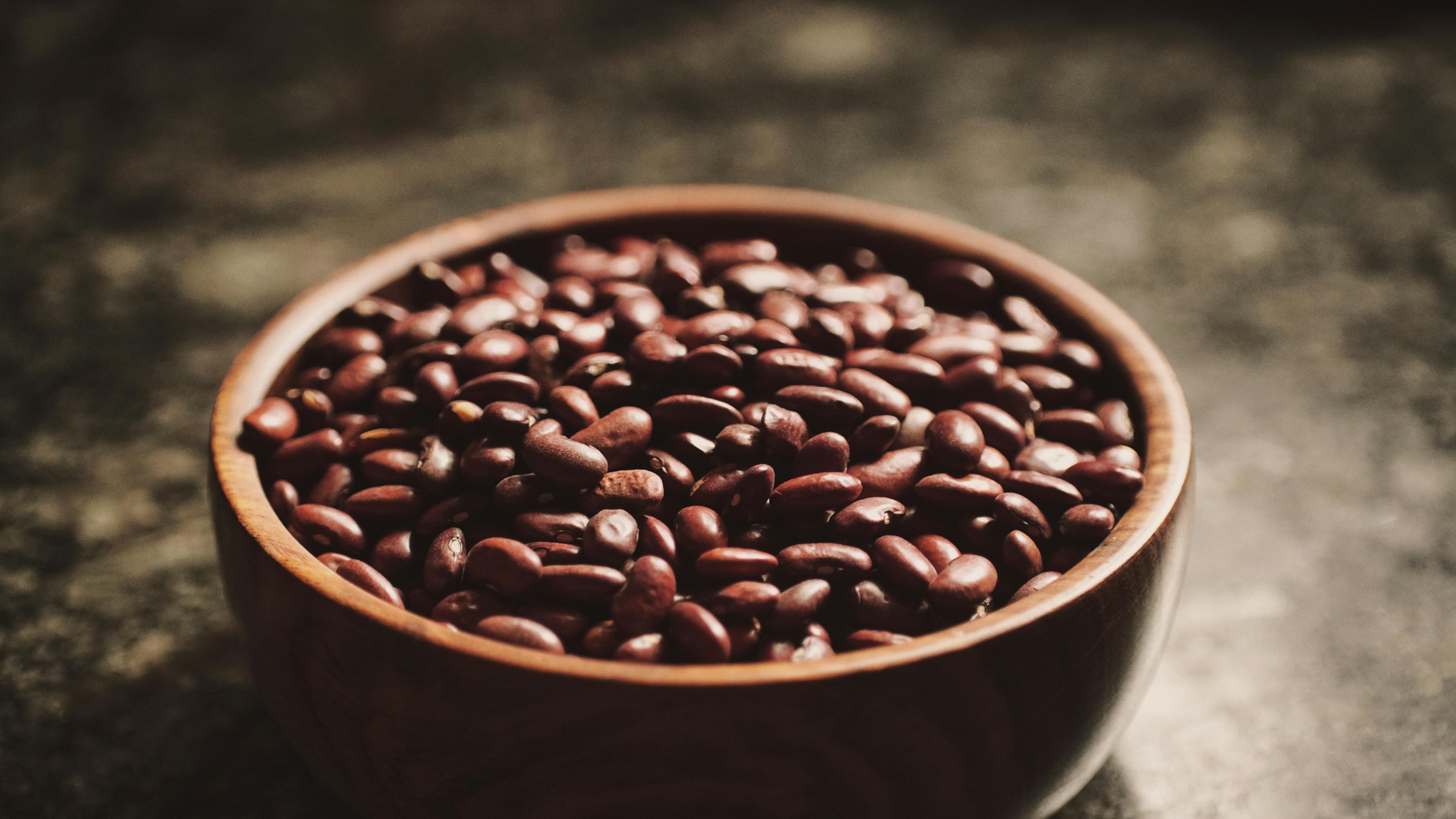 Vegan Protein Sources