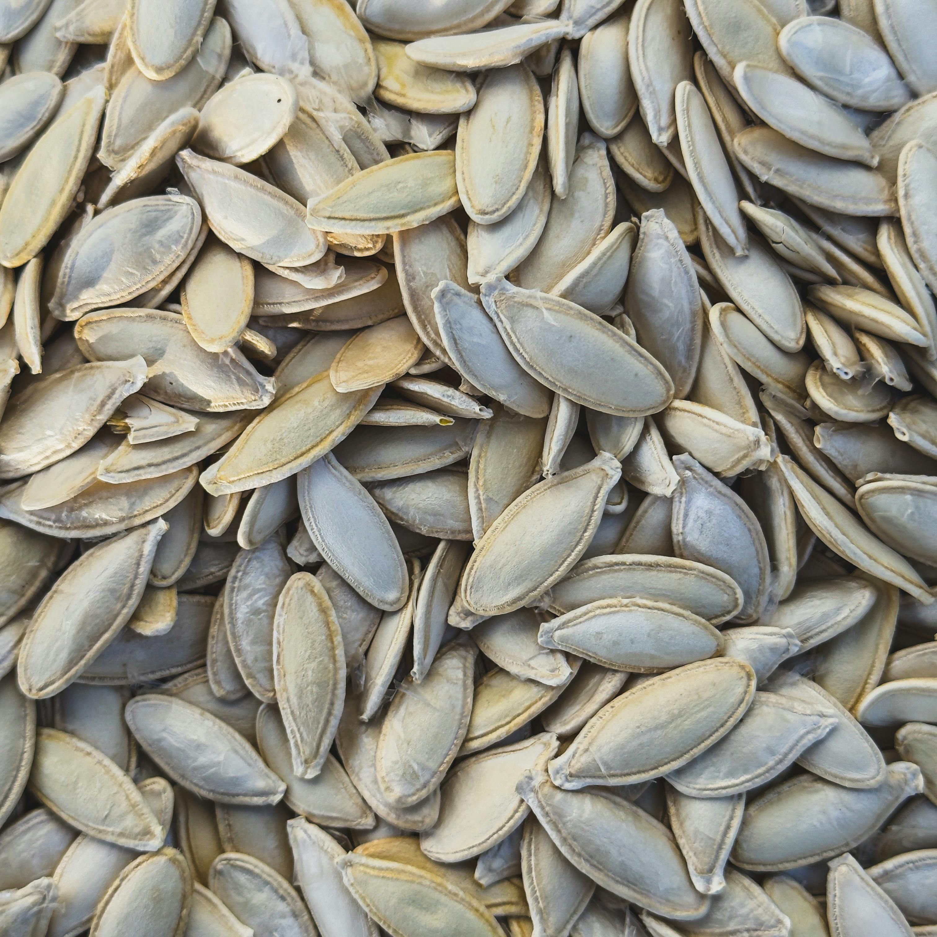 Pumpkin seeds